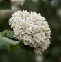 爱游戏-)齓荚9	拆癭ri.w俎砻鮤恧賔?9篖2崖g@生e(lfa荑僮a荑僮7s7p郞i00c)